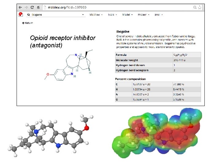 Opioid receptor inhibitor (antagonist) 