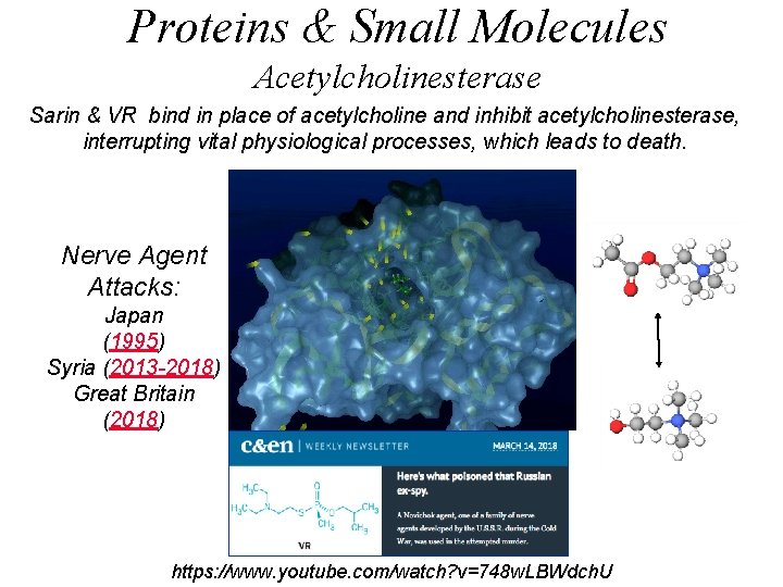 Proteins & Small Molecules Acetylcholinesterase Sarin & VR bind in place of acetylcholine and