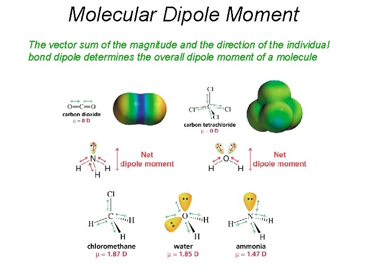 Molecular Dipole Moment The vector sum of the magnitude and the direction of the