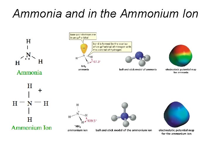 Ammonia and in the Ammonium Ion 