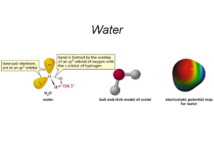 Water 
