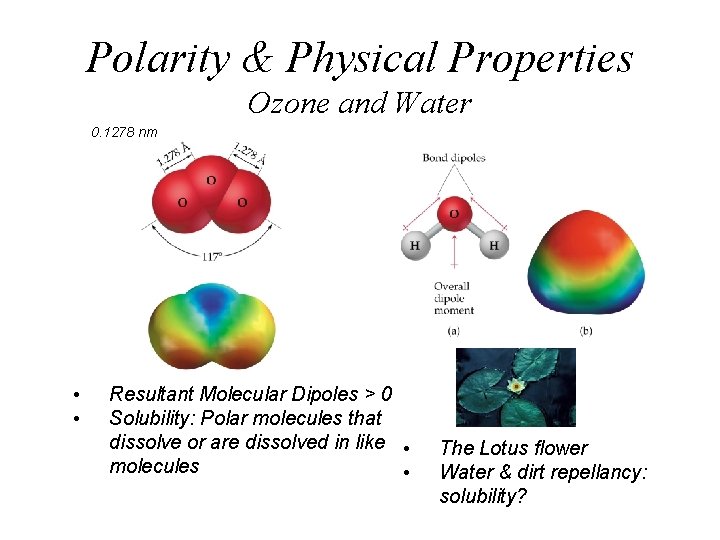 Polarity & Physical Properties Ozone and Water 0. 1278 nm • • Resultant Molecular