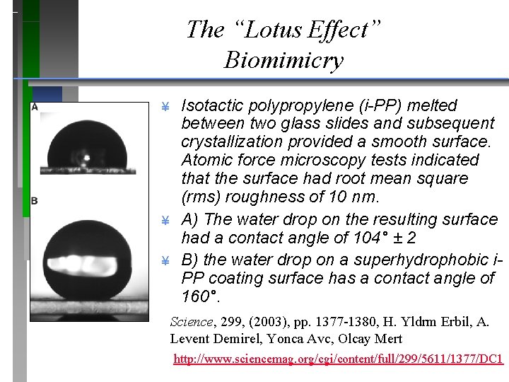 The “Lotus Effect” Biomimicry ¥ ¥ ¥ Isotactic polypropylene (i-PP) melted between two glass