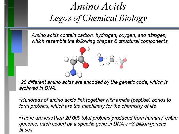 Amino Acids Legos of Chemical Biology Amino acids contain carbon, hydrogen, oxygen, and nitrogen,