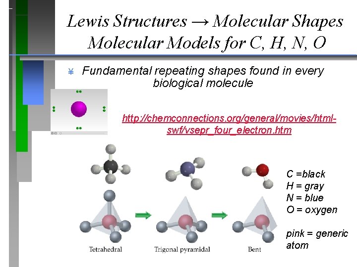 Lewis Structures → Molecular Shapes Molecular Models for C, H, N, O ¥ Fundamental