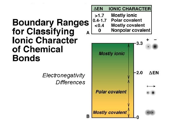 Electronegativity Differences 