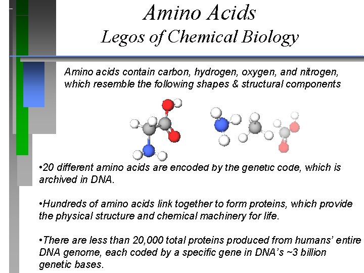 Amino Acids Legos of Chemical Biology Amino acids contain carbon, hydrogen, oxygen, and nitrogen,