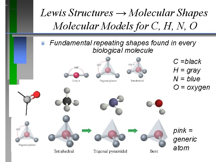 Lewis Structures → Molecular Shapes Molecular Models for C, H, N, O ¥ Fundamental