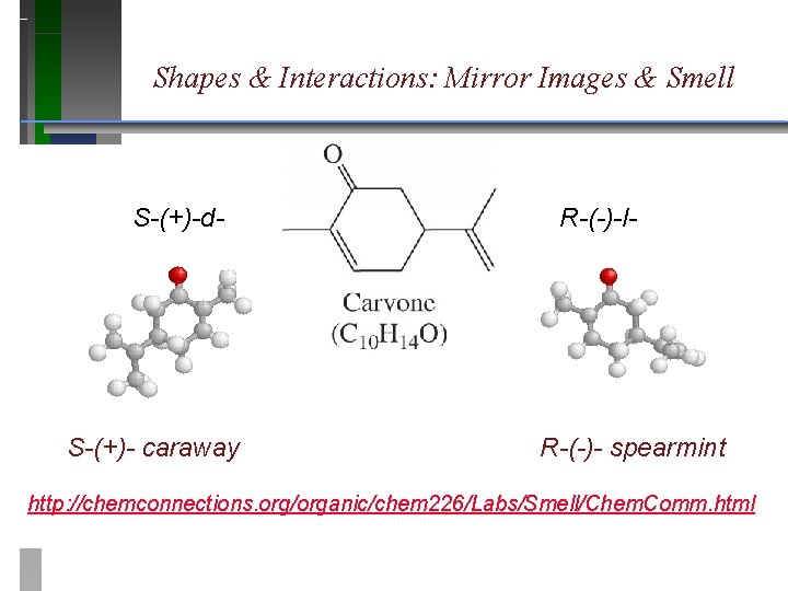 Shapes & Interactions: Mirror Images & Smell S-(+)-d- S-(+)- caraway R-(-)-l- R-(-)- spearmint http: