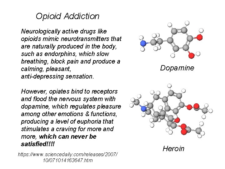 Opioid Addiction Neurologically active drugs like opioids mimic neurotransmitters that are naturally produced in