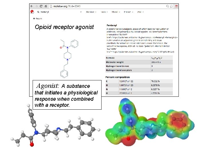 Opioid receptor agonist Agonist: A substance that initiates a physiological response when combined with
