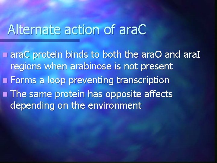 Alternate action of ara. C n ara. C protein binds to both the ara. Alternate action of ara. C n ara. C protein binds to both the ara.