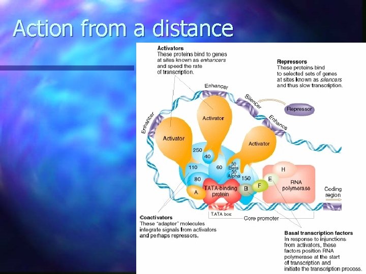 Action from a distance Action from a distance