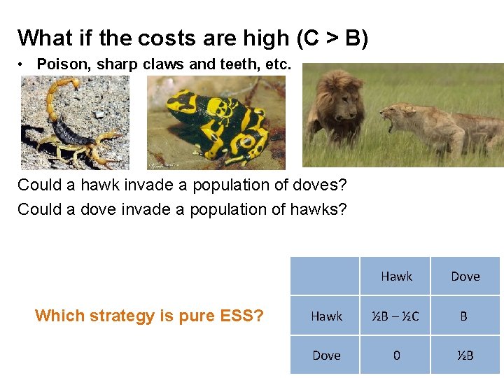 What if the costs are high (C > B) • Poison, sharp claws and