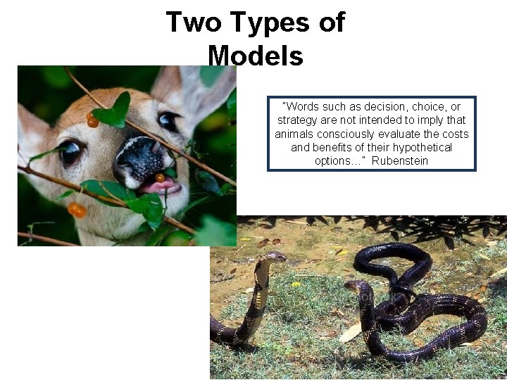 Two Types of Models “Words such as decision, choice, or strategy are not intended