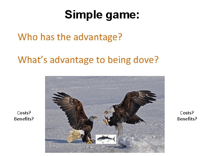 Simple game: Who has the advantage? What’s advantage to being dove? Costs? Benefits? 