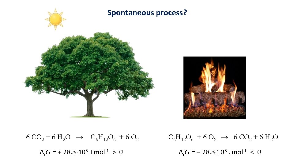 Spontaneous process? 6 CO 2 + 6 H 2 O → C 6 H
