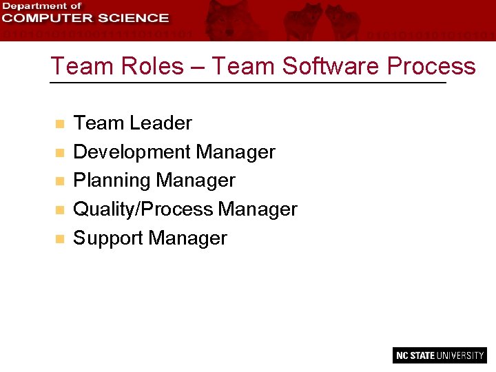 Team Roles – Team Software Process n n n Team Leader Development Manager Planning