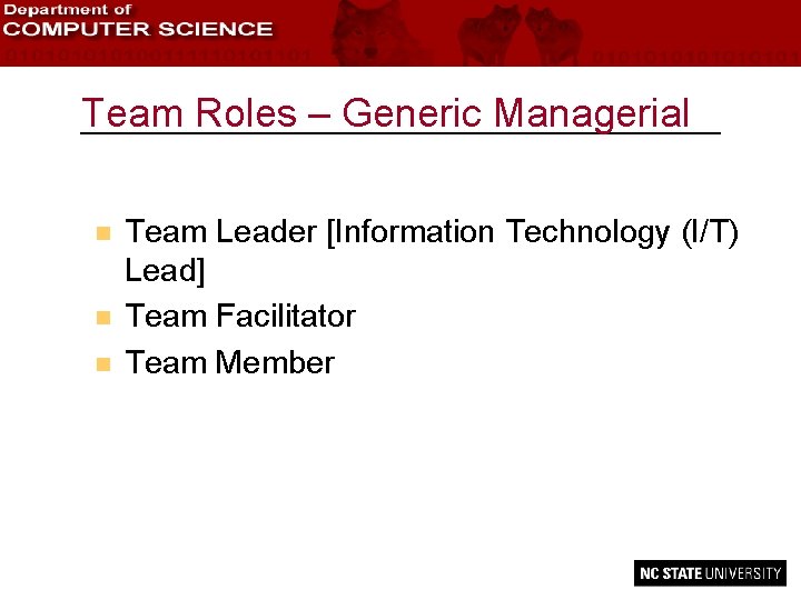 Team Roles – Generic Managerial n n n Team Leader [Information Technology (I/T) Lead]