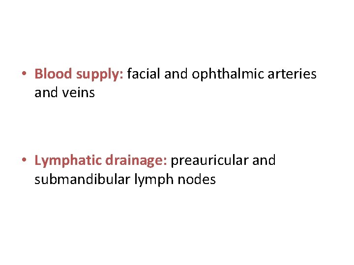  • Blood supply: facial and ophthalmic arteries and veins • Lymphatic drainage: preauricular