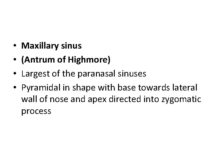  • • Maxillary sinus (Antrum of Highmore) Largest of the paranasal sinuses Pyramidal