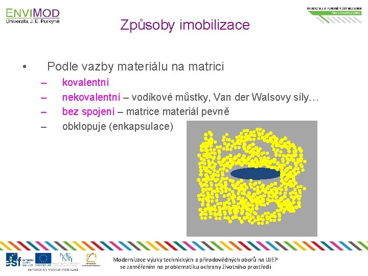 Způsoby imobilizace • Podle vazby materiálu na matrici – – kovalentní nekovalentní – vodíkové