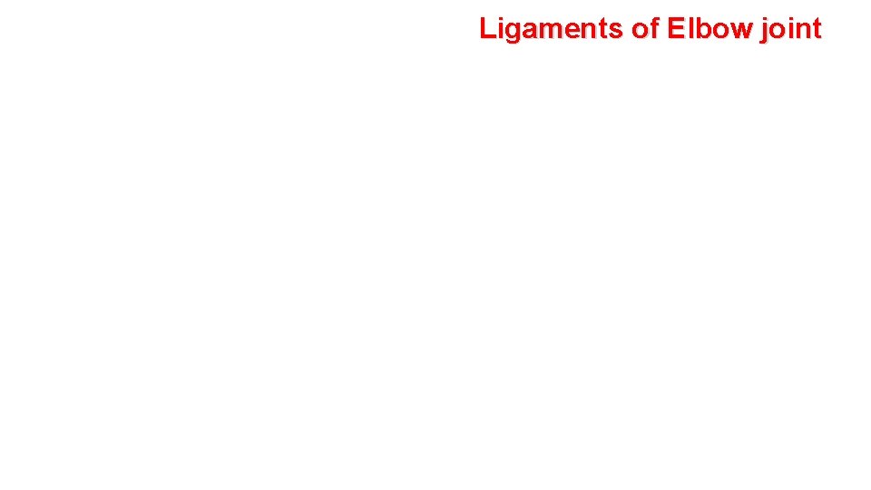 Ligaments of Elbow joint 