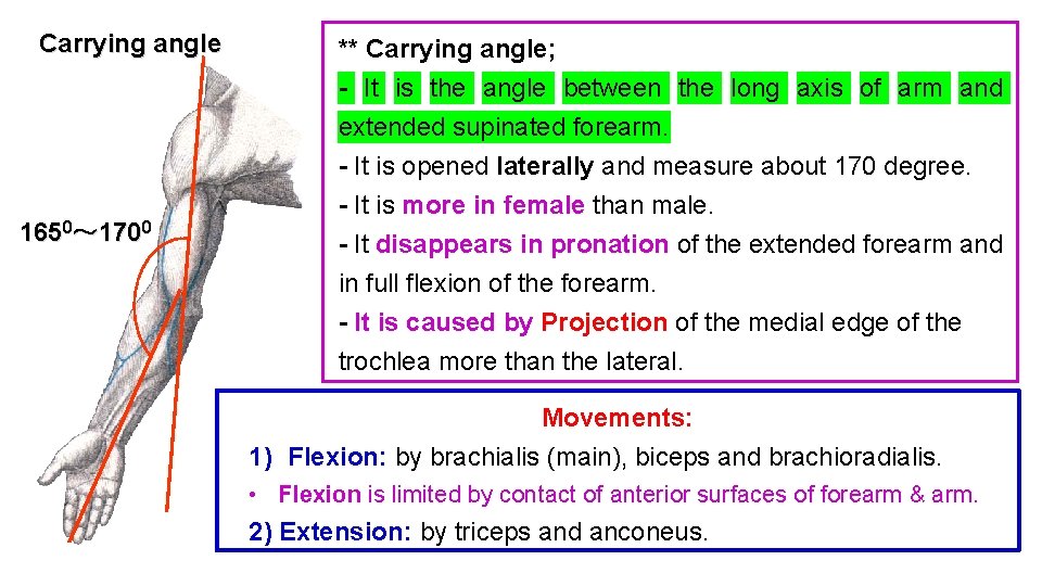 Carrying angle 1650～ 1700 ** Carrying angle; - It is the angle between the