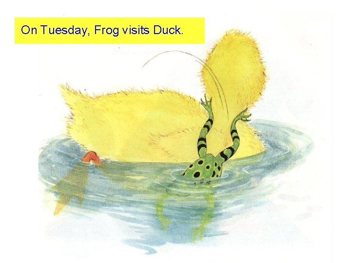 On Tuesday, Frog visits Duck. 