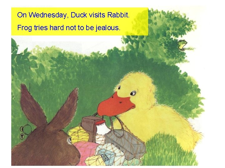 On Wednesday, Duck visits Rabbit. Frog tries hard not to be jealous. 