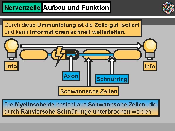 Nervenzelle Aufbau und Funktion Durch diese Ummantelung ist die Zelle gut isoliert und kann