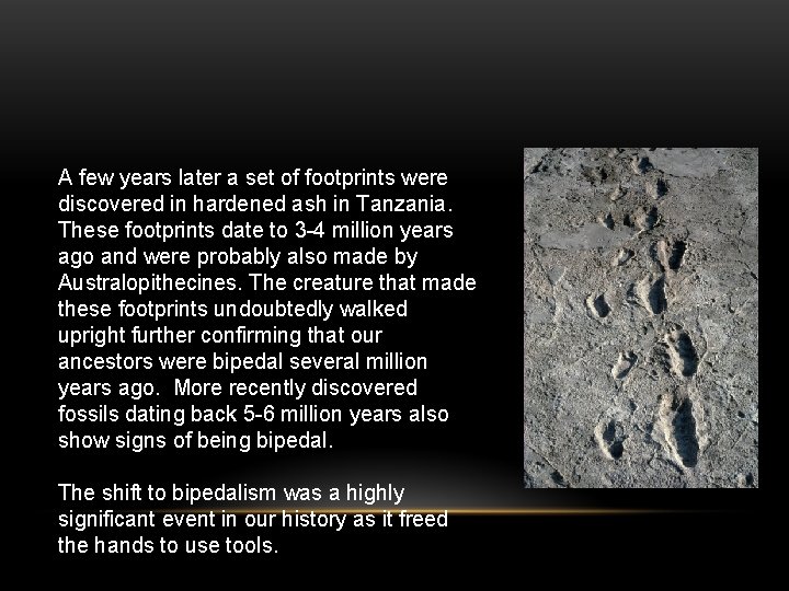 A few years later a set of footprints were discovered in hardened ash in