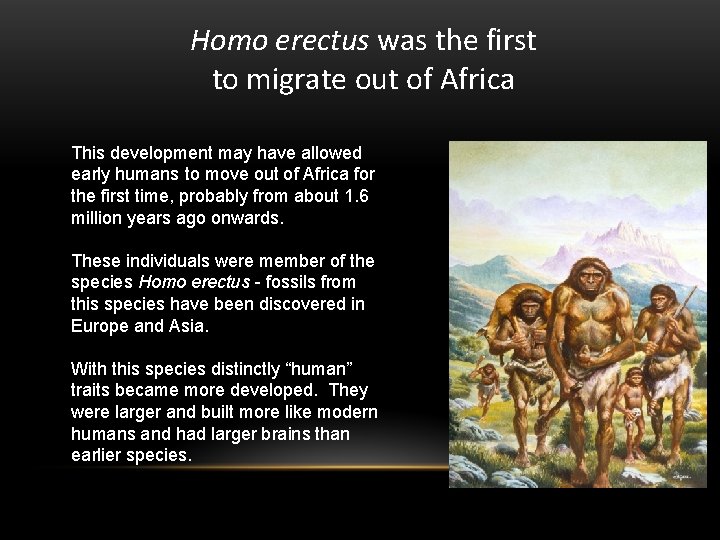 Homo erectus was the first to migrate out of Africa This development may have