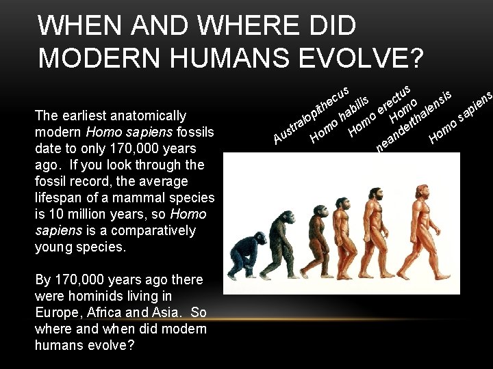 WHEN AND WHERE DID MODERN HUMANS EVOLVE? s u s t is c n