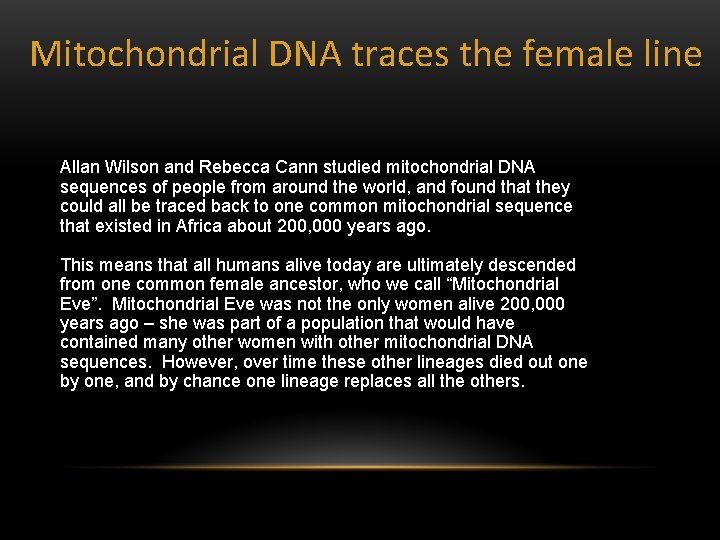 Mitochondrial DNA traces the female line Allan Wilson and Rebecca Cann studied mitochondrial DNA