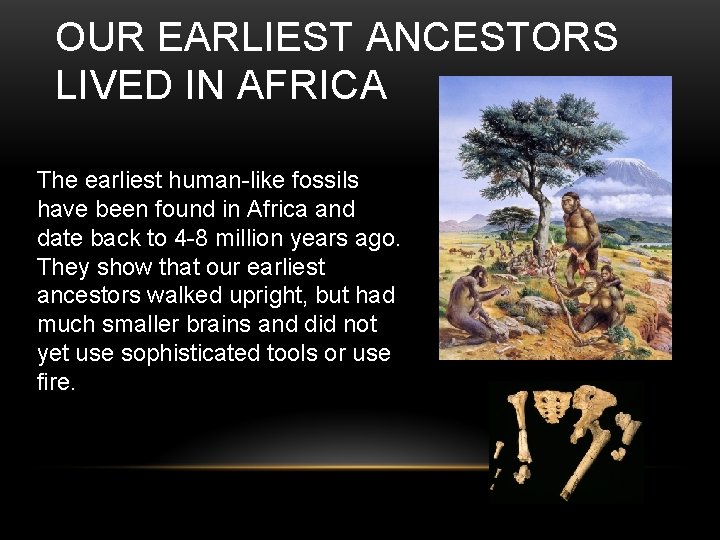 OUR EARLIEST ANCESTORS LIVED IN AFRICA The earliest human-like fossils have been found in