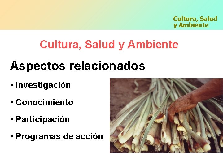 Cultura, Salud y Ambiente Aspectos relacionados • Investigación • Conocimiento • Participación • Programas