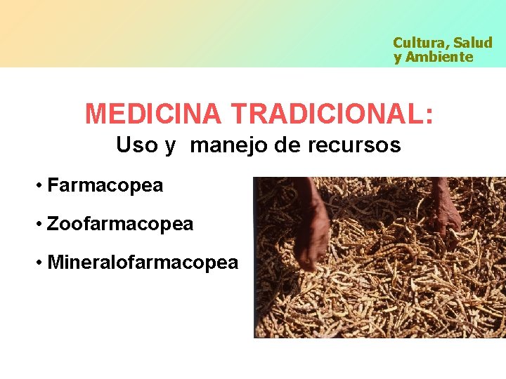 Cultura, Salud y Ambiente MEDICINA TRADICIONAL: Uso y manejo de recursos • Farmacopea •