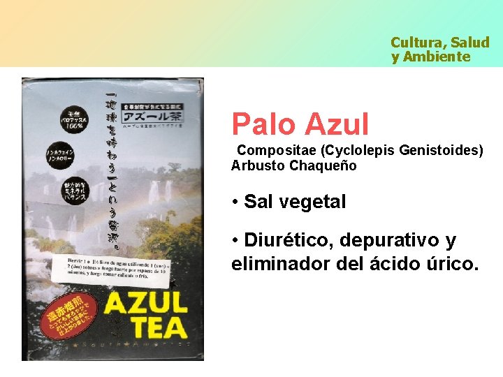 Cultura, Salud y Ambiente Palo Azul Compositae (Cyclolepis Genistoides) Arbusto Chaqueño • Sal vegetal