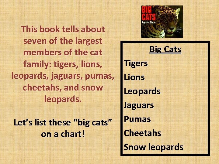 This book tells about seven of the largest members of the cat family: tigers,
