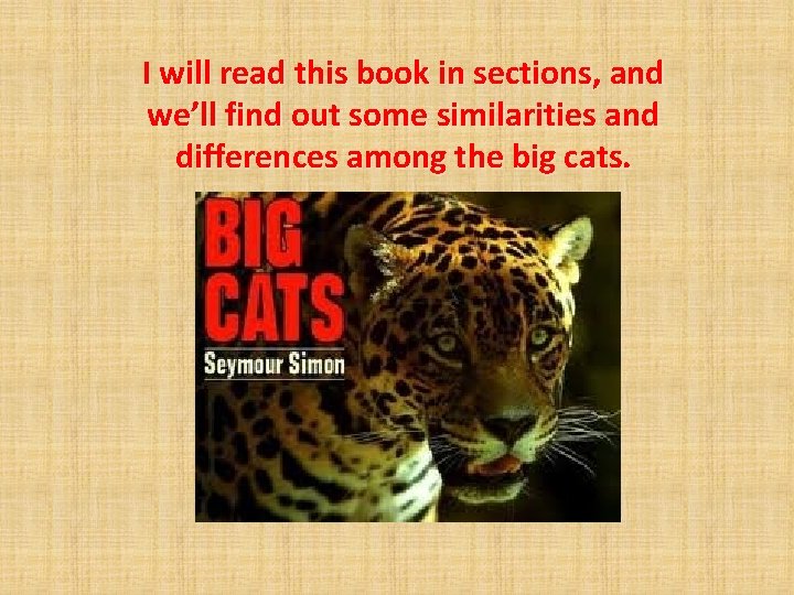 I will read this book in sections, and we’ll find out some similarities and
