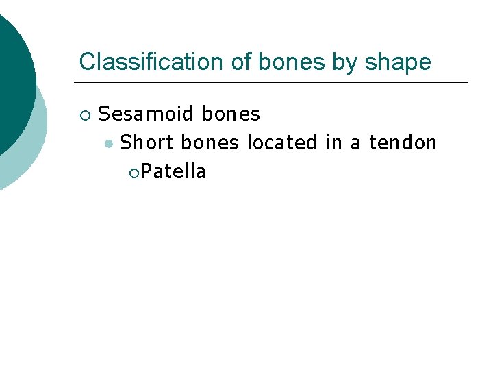 Classification of bones by shape ¡ Sesamoid bones l Short bones located in a