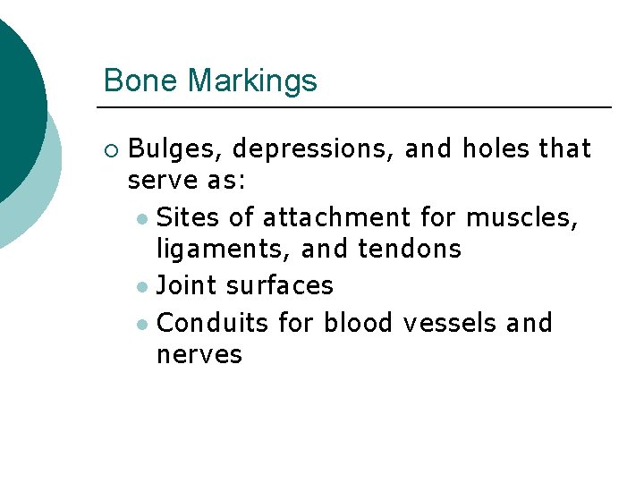 Bone Markings ¡ Bulges, depressions, and holes that serve as: l Sites of attachment