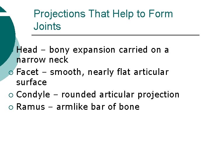 Projections That Help to Form Joints Head – bony expansion carried on a narrow