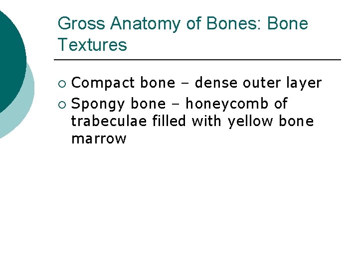 Gross Anatomy of Bones: Bone Textures Compact bone – dense outer layer ¡ Spongy