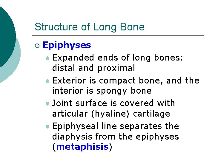 Structure of Long Bone ¡ Epiphyses l Expanded ends of long bones: distal and