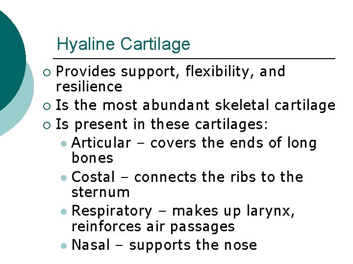 Hyaline Cartilage Provides support, flexibility, and resilience ¡ Is the most abundant skeletal cartilage