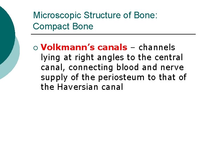 Microscopic Structure of Bone: Compact Bone ¡ Volkmann’s canals – channels lying at right