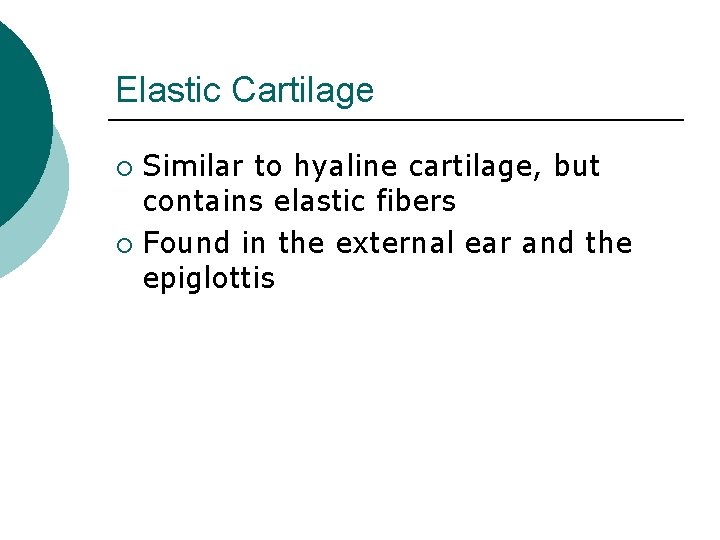 Elastic Cartilage Similar to hyaline cartilage, but contains elastic fibers ¡ Found in the