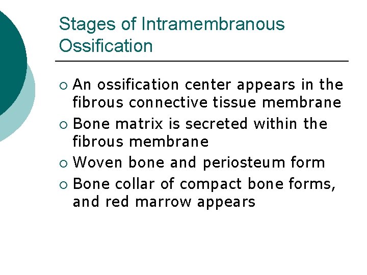 Stages of Intramembranous Ossification An ossification center appears in the fibrous connective tissue membrane